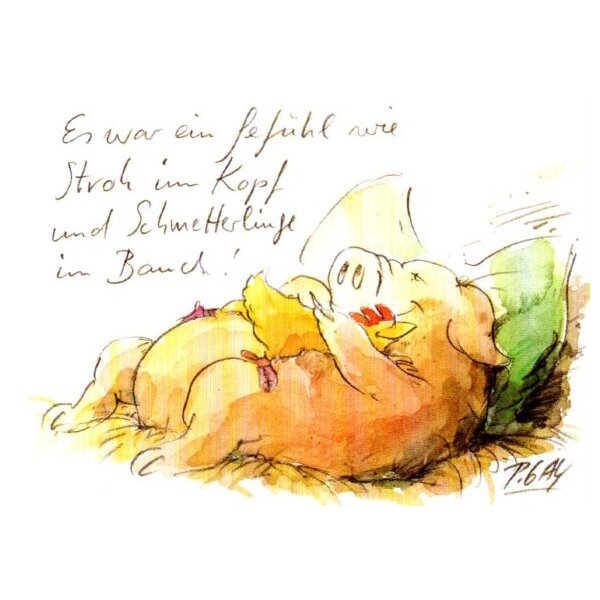 Steffen Butz.Stroh im Kopf