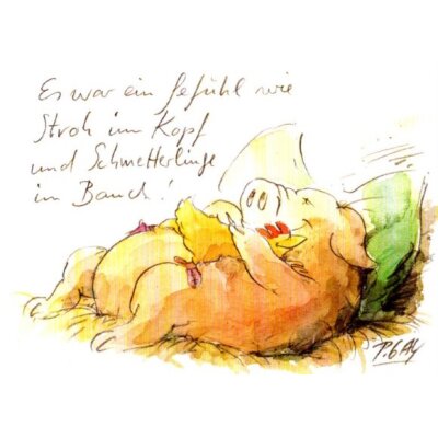 Steffen Butz.Stroh im Kopf