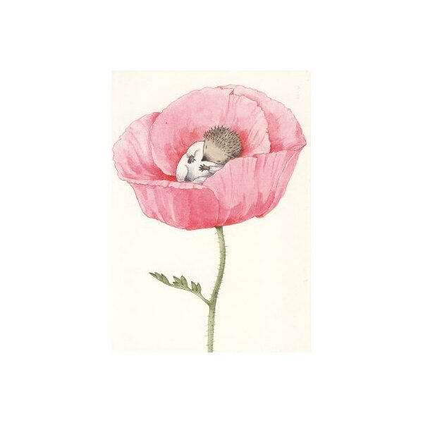 Igelfrau Lilli in der Rosenblüte