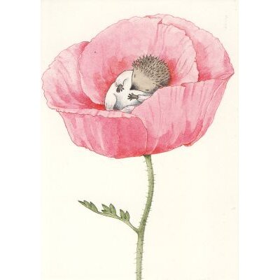 Igelfrau Lilli in der Rosenblüte