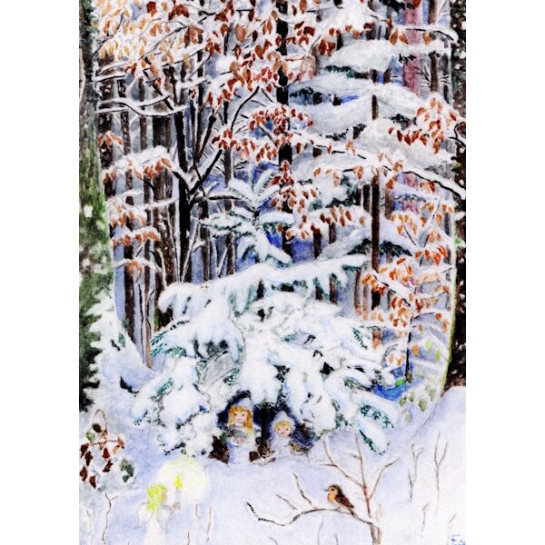 Elisabeth Heuberger. Winter im Wald