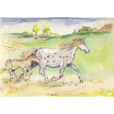 Anne C. Wenzel. Im Galopp