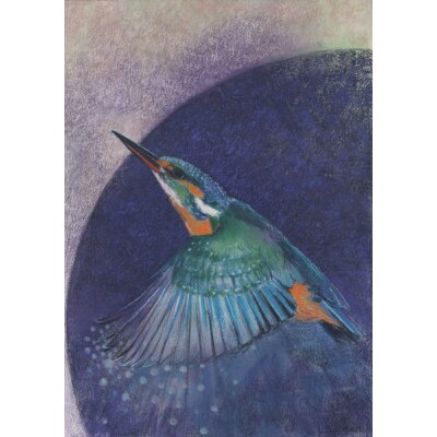 Loes Botman. Eisvogel fliegend, 2015