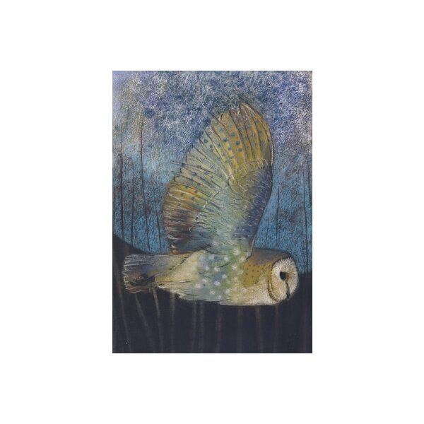 Loes Botman. Fliegende Schleiereule (Perleule), 2015