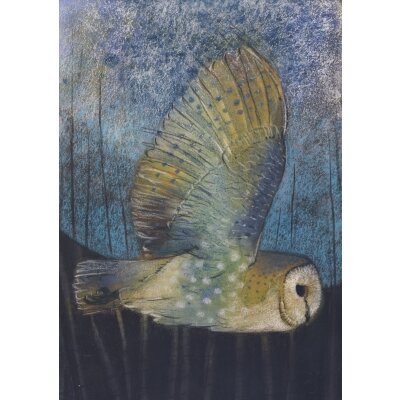 Loes Botman. Fliegende Schleiereule (Perleule), 2015