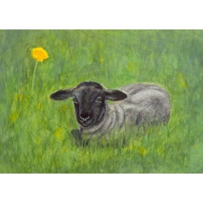 Heike Stinner. Frühjahrslamm