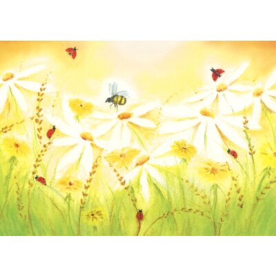 Baukje Exler. Sommerwiese