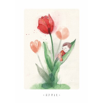Stefanie Messing. Blumen-Monatskarten 12er Set