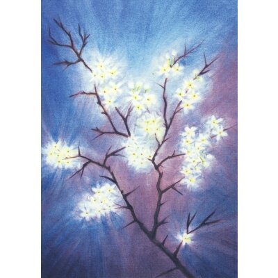 Erika Hoffmann. Schlehenblüten