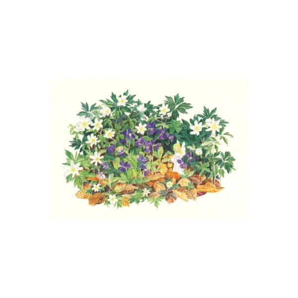 Elisabeth Heuberger. Waldfrühling