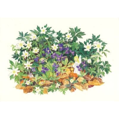 Elisabeth Heuberger. Waldfrühling