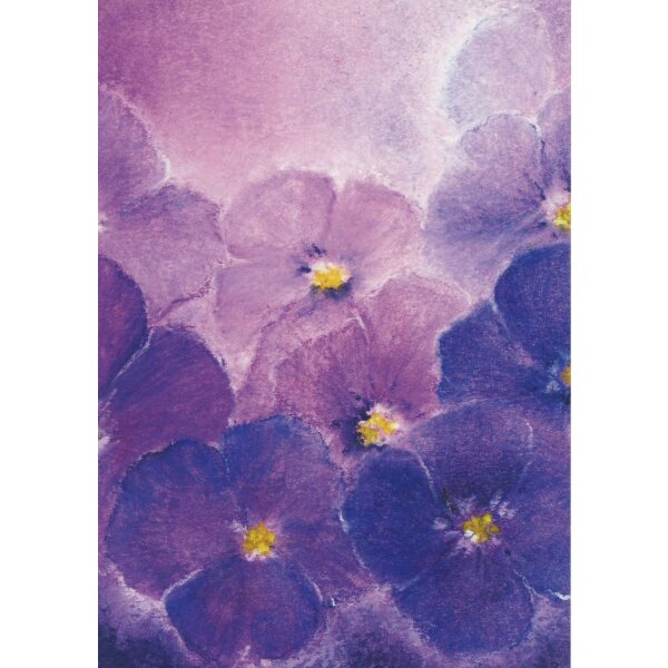 Baukje Exler. Viooltjes. Veilchen