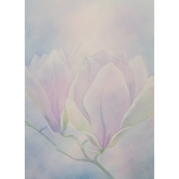 Jan de Kok. Magnolien