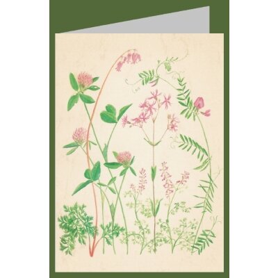 Anna Malten (Lübsee). Zartheiten in Rosa, 2007. DK