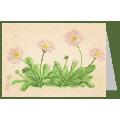 Anna Malten (Lübsee). Gänseblümchen, 2007