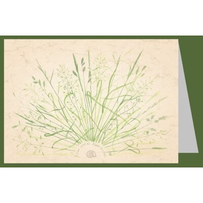 Anna Malten (Lübsee). Gräser ssind die Haare...