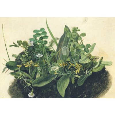 Albrecht Dürer. Das kleine Rasenstück, um 1503
