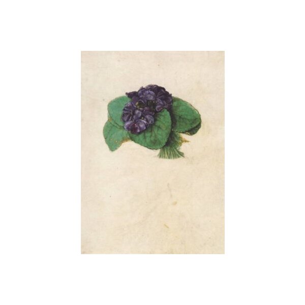 Dürer, A. Veilchensträußchen, Dürer