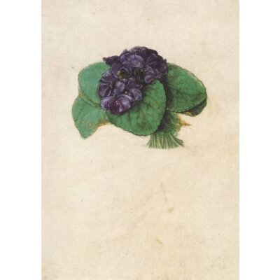 Dürer, A. Veilchensträußchen, Dürer