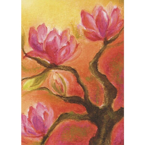 Baukje Exler. Magnolia