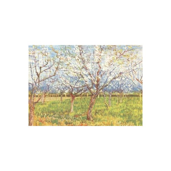 Vincent van Gogh. Blühende Aprikosenbäume