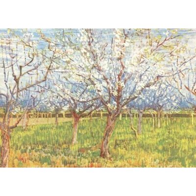 Vincent van Gogh. Blühende Aprikosenbäume