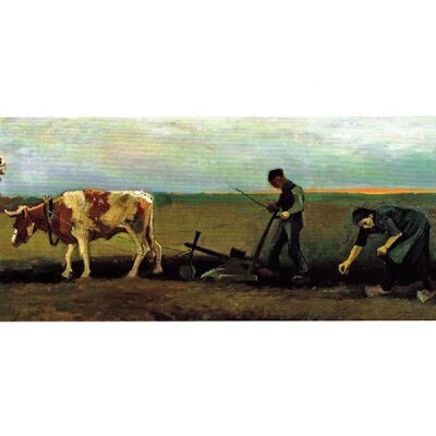 Gogh, V. Kartoffel pflanzen, 1884