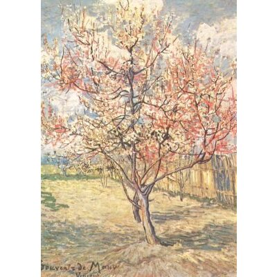 Blühender Pfirsichbaum, Gogh