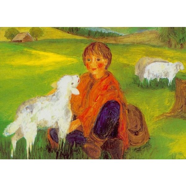 Karin Haslinger. Pico mit Schäfchen