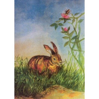 Johanna Schneider. Hase im Gras