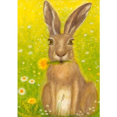 Heike Stinner. Hase im Gras