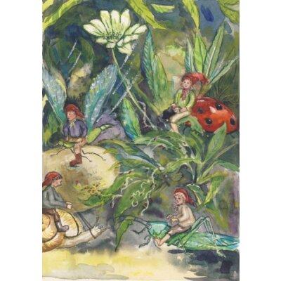 Anne C. Wenzel. Zwergenwelt