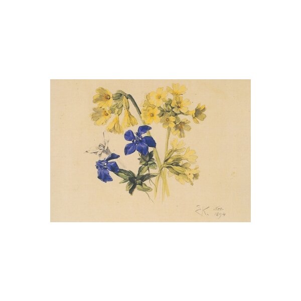 Ernst Kreidolf. Schlüsselblume, Enziane und Edelweiss