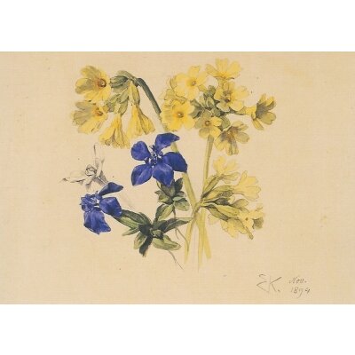 Ernst Kreidolf. Schlüsselblume, Enziane und Edelweiss