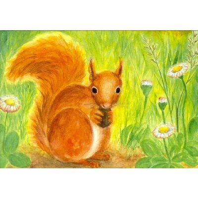Heike Stinner. Eichhörnchen
