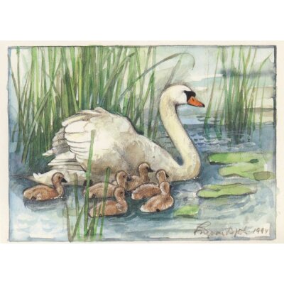 Ingvar Björk. Schwan