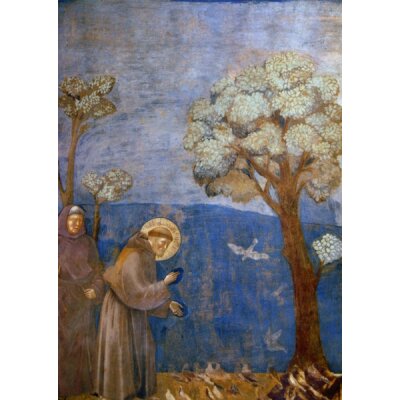 Giotto, Der heilige Franziskus predigt den Vögeln....