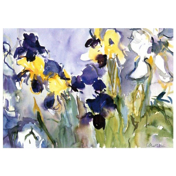 Gerd Kadzik Iris weiß, gelb, blau