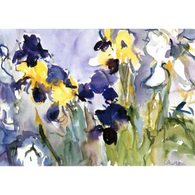 Gerd Kadzik Iris weiß, gelb, blau