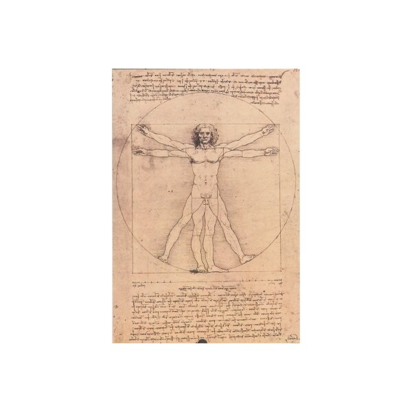 Leonardo da Vinci. Studio del corpo umano. KD "E"