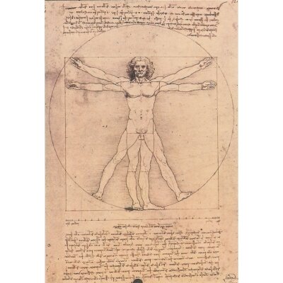 Leonardo da Vinci. Studio del corpo umano. KD "E"