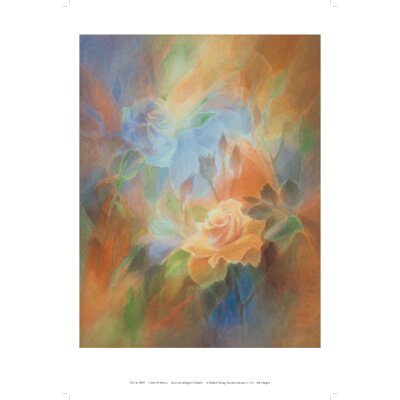 Collot d’Herbois. Rose KD 31x46cm