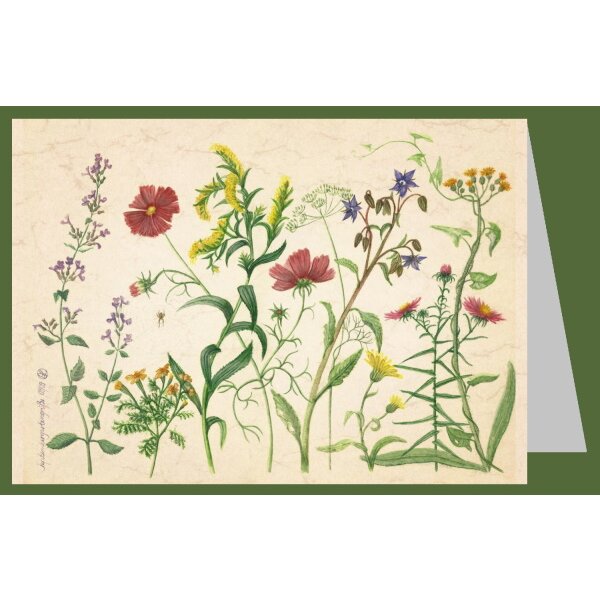 Anna Malten (Lübsee). Septembergartengrüße, 2009