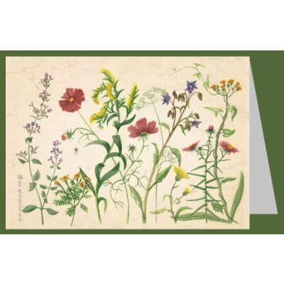 Anna Malten (Lübsee). Septembergartengrüße, 2009