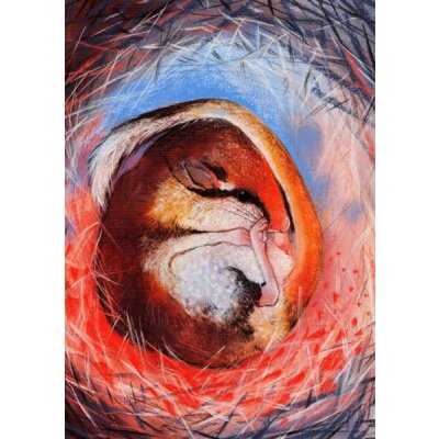 Loes Botman. Kleines schlafendes Tier