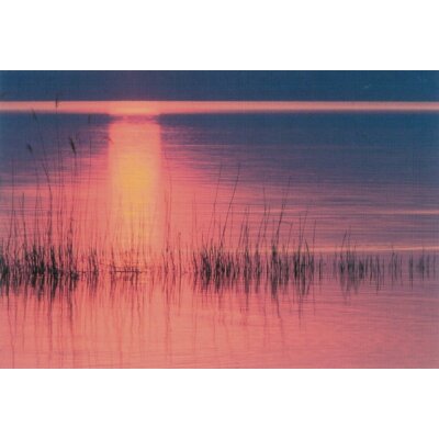Neffe, E. Abendsonne