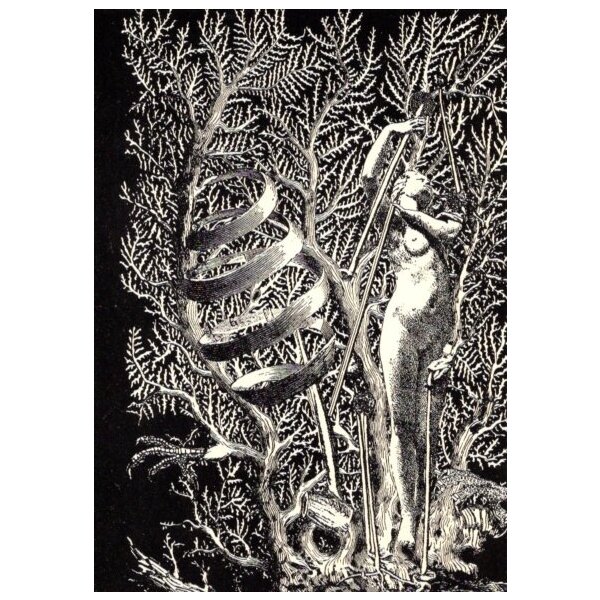 Max Ernst. Frontispiz für Gilbert Lély