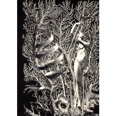 Max Ernst. Frontispiz für Gilbert Lély