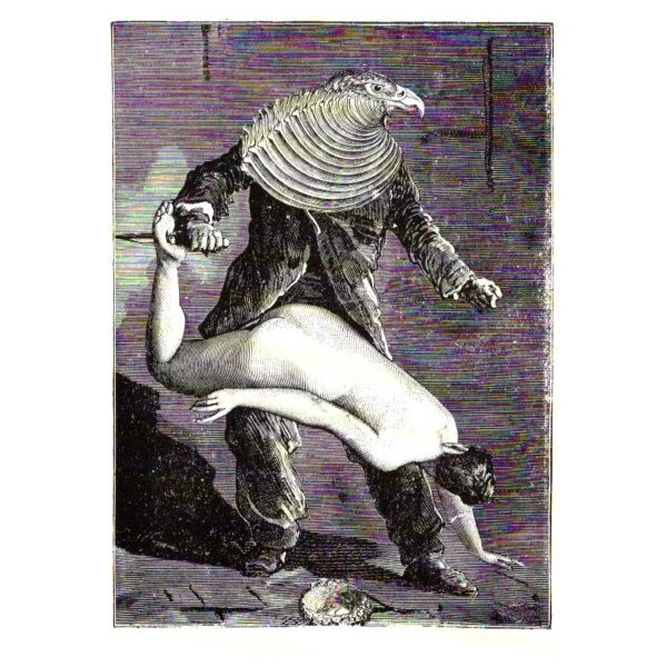 Max Ernst. Aus Collagen-Roman Une Semaine de Bonté