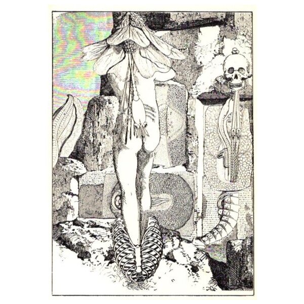 Max Ernst. Aus Collagen-Roman Une Semaine de Bonté